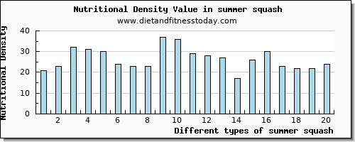 summer squash protein per 100g