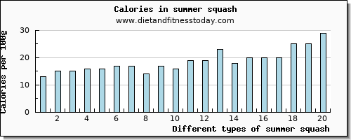 summer squash water per 100g