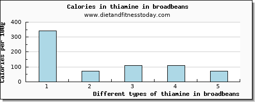 thiamine in broadbeans thiamin per 100g