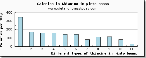 thiamine in pinto beans thiamin per 100g