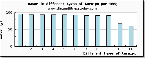 turnips water per 100g