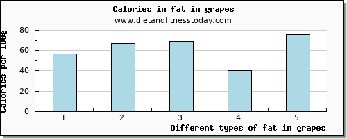 fat in grapes total fat per 100g
